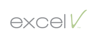 excel V logo