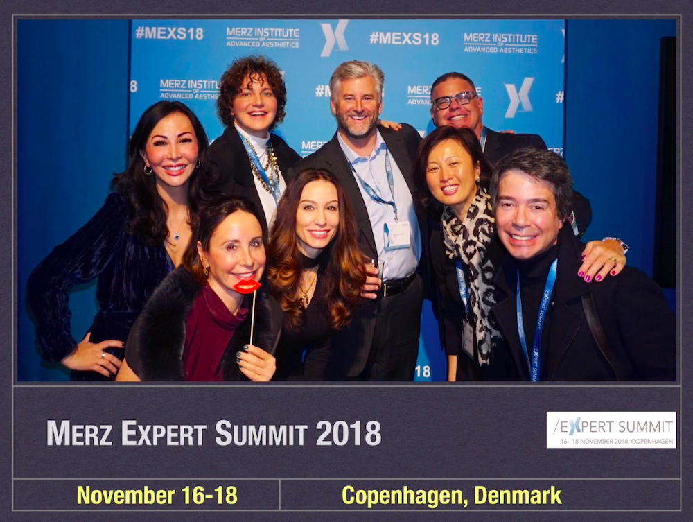 merz expert summit 2018