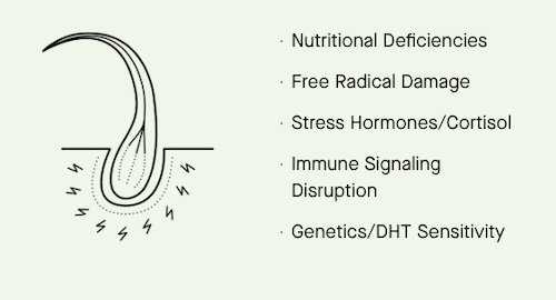 nutrafol hair deficiencies