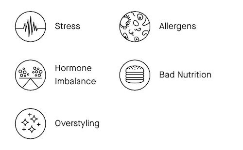 nutrafol hair factors